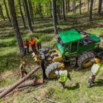 BPRC BMD — Responsable de Chantiers de Bûcheronnage Manuel et de Débardage